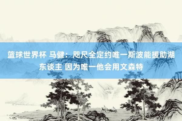 篮球世界杯 马健：咫尺全定约唯一斯波能援助湖东谈主 因为唯一他会用文森特