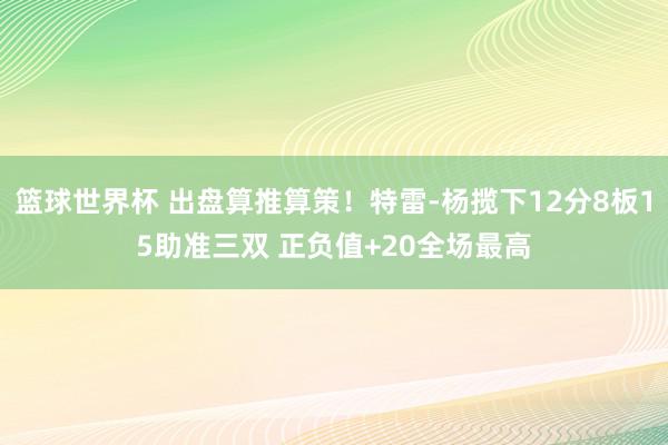 篮球世界杯 出盘算推算策！特雷-杨揽下12分8板15助准三双 正负值+20全场最高