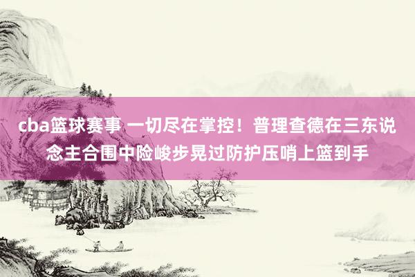 cba篮球赛事 一切尽在掌控！普理查德在三东说念主合围中险峻步晃过防护压哨上篮到手